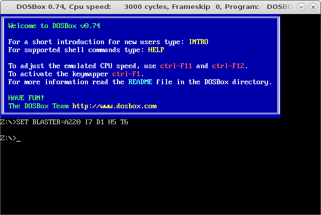 [DOSBox]