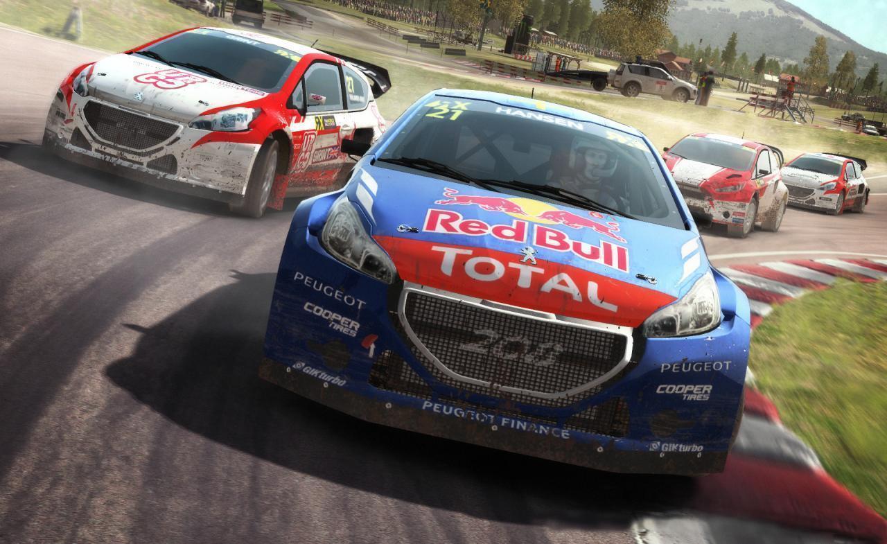 [DiRT Rally]