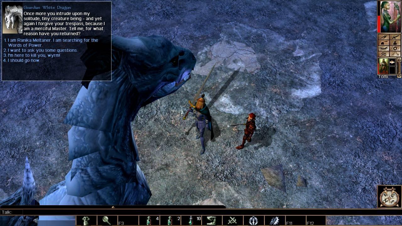 [Neverwinter Nights: Enhanced Edition]