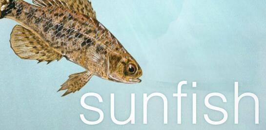 [Sunfish]