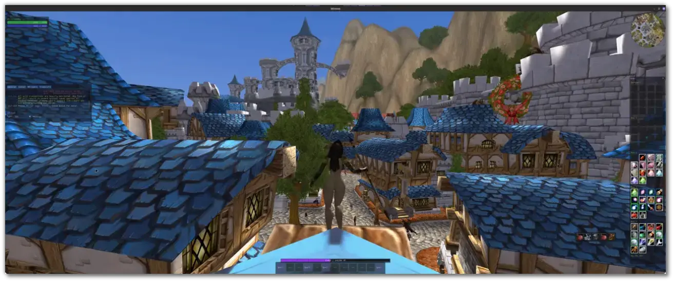 [World of Warcraft (with WoWee engine)]